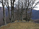 Mfaie1218 055m